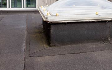disadvantages of Trer Ddol flat roofs