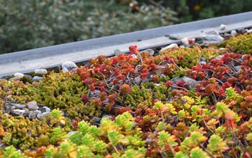 the cost of Trer Ddol green roof installation