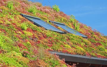 Trer Ddol living roof systems