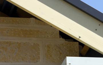 soffit repair Trer Ddol