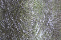 Trer Ddol fibreglass roof work